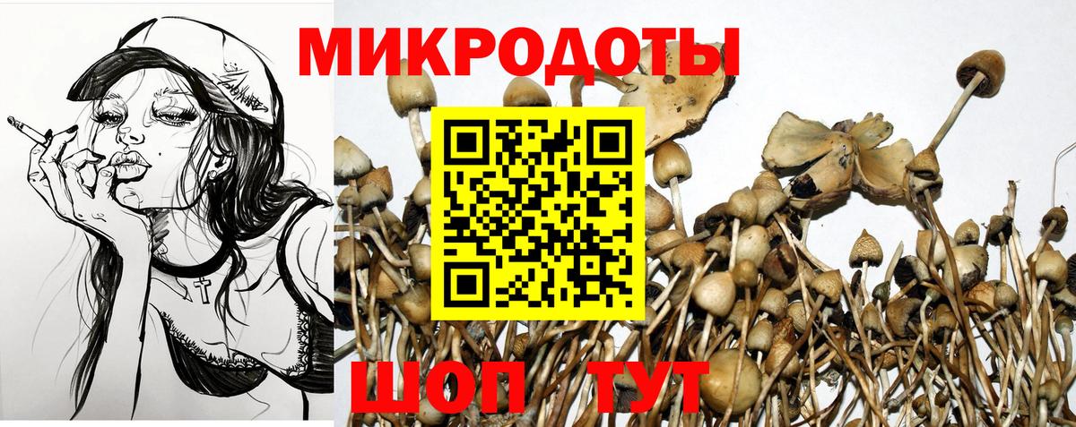 Галлюциногенные грибы Psilocybe  Вход с VPN  Выборг 