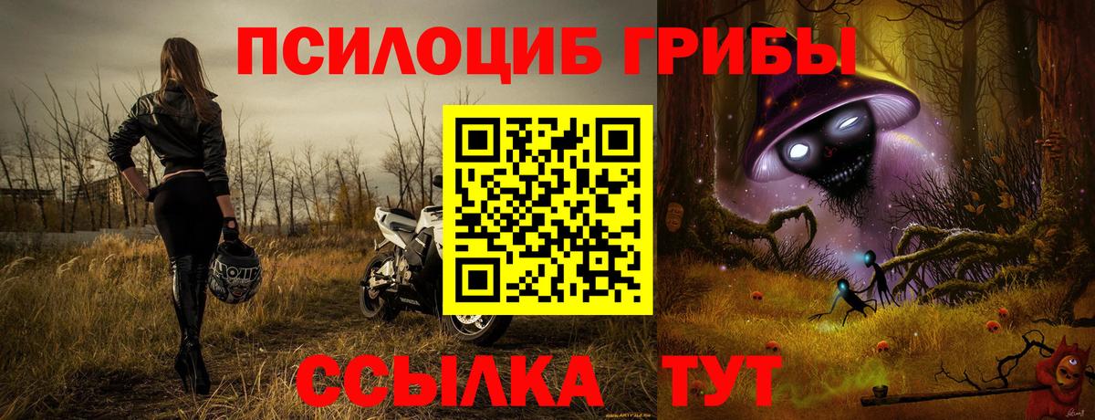 Псилоцибиновые грибы MAGIC MUSHROOMS Выборг